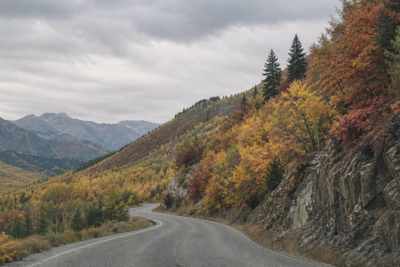 Concept image of Logan Canyon in autumn.